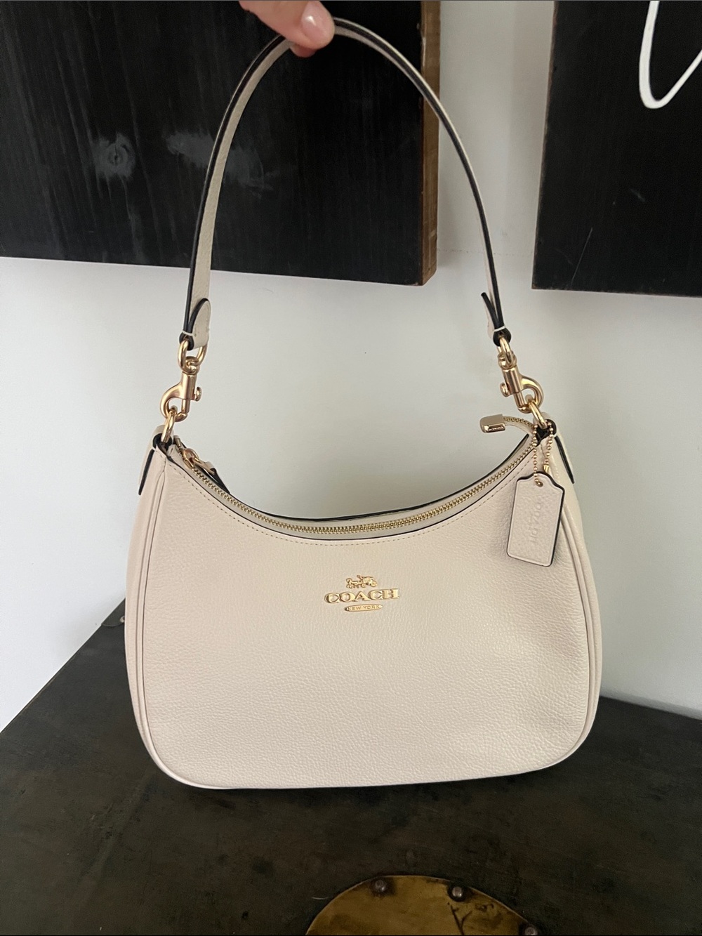 Teri Hobo Bag